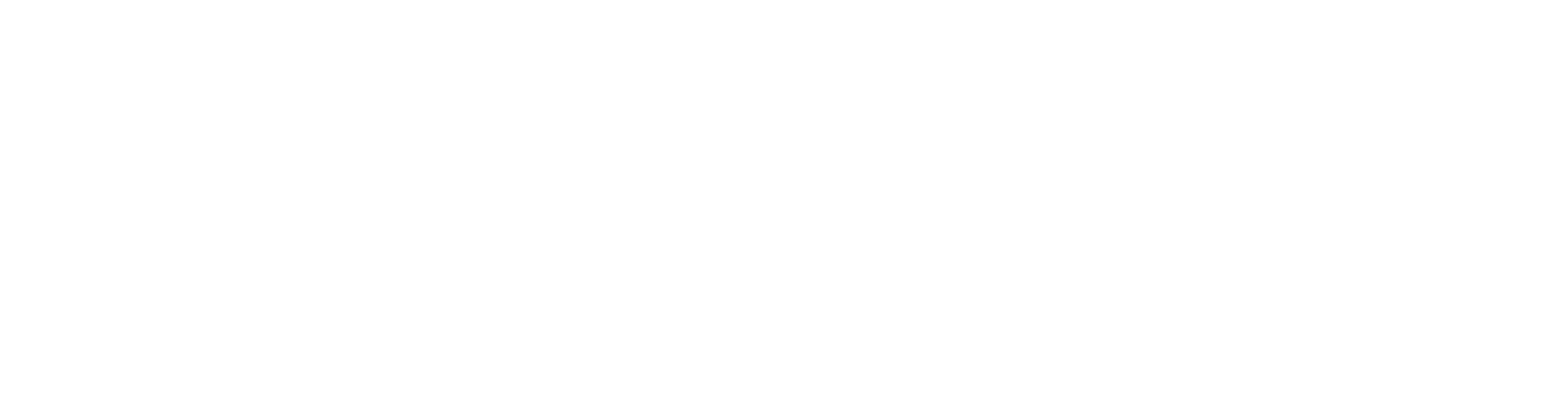 Codetopia Academy